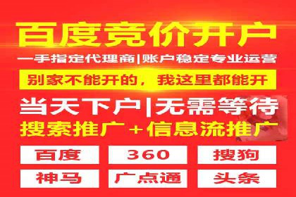 案例分享：专业SEM托管助力品牌崛起